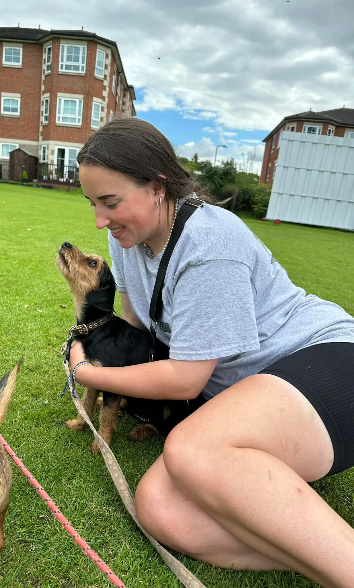 Happy dog being walked